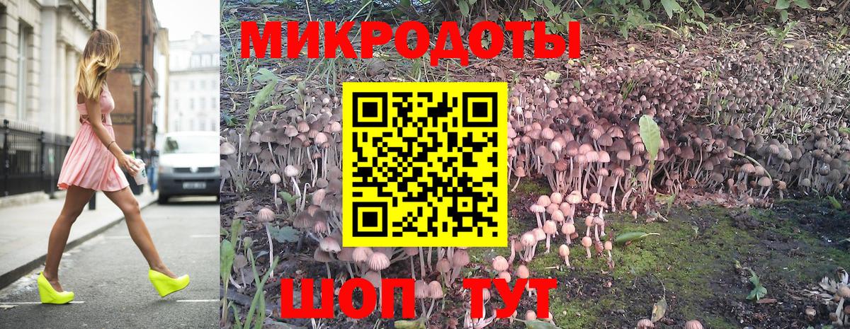 Псилоцибиновые грибы MAGIC MUSHROOMS Михайловка